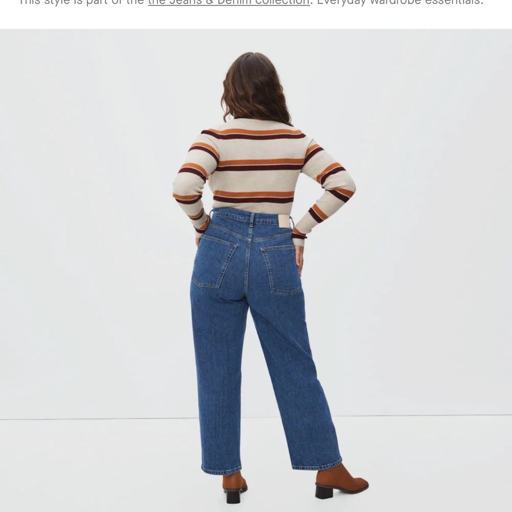 The Way-High Jean in Blue Everlane never worn